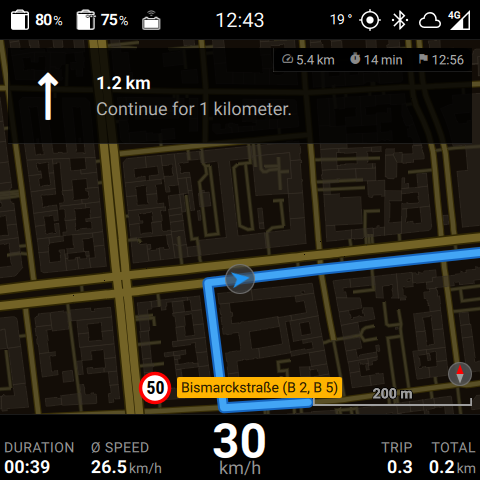 The 2D map, north-up, with an active route